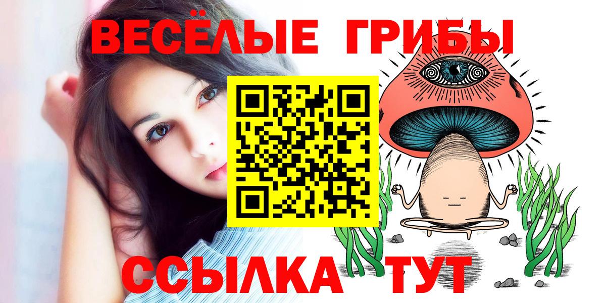Галлюциногенные грибы Magic Shrooms  Вход с VPN  Ессентуки 